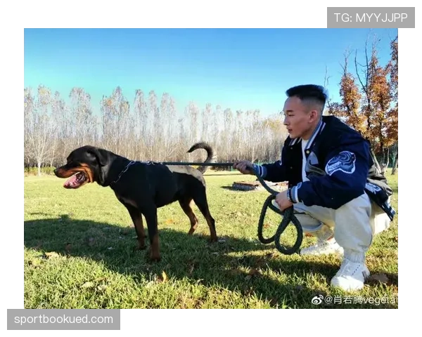 肖若腾随手把训练包扔后座,护膝都能买我一套房,我笑不出来 肖若腾随手把训练包扔后座,护膝都能买我一套房,我笑不出来