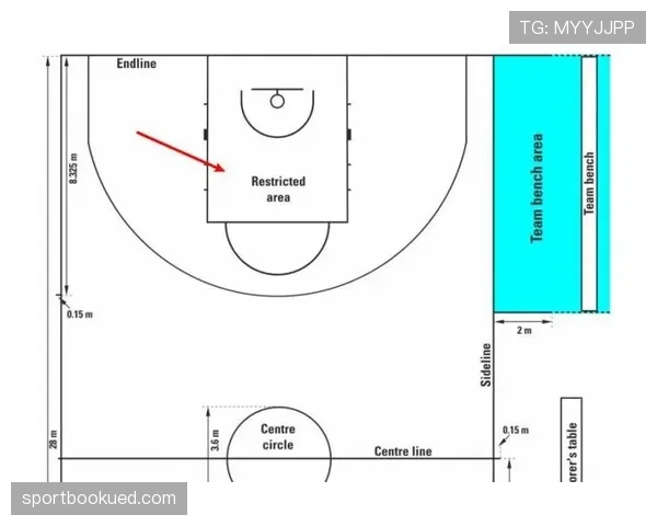 解读NBA与FIBA罚球规则关键差异,让你一目了然